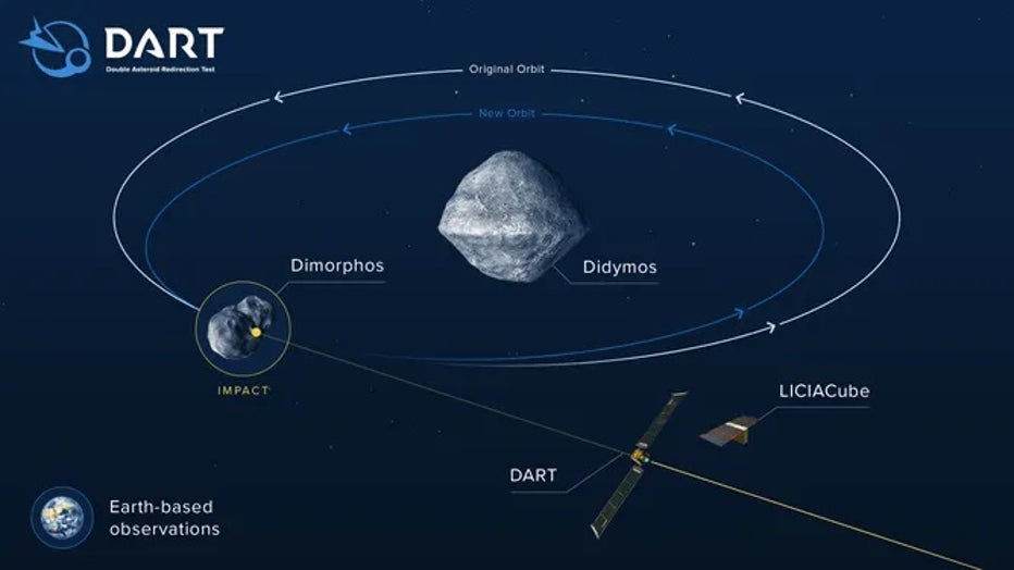 DART-infographic_v4.jpg