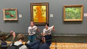 Watch: Climate protesters throw tomato soup on Van Gogh's famous 'Sunflowers' painting