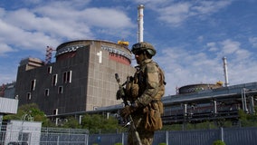 Russia accused of 'kidnapping' head of Europe's largest nuclear plant
