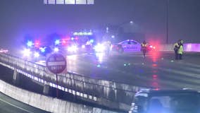 Pedestrian fatally struck in early morning crash on Dallas freeway