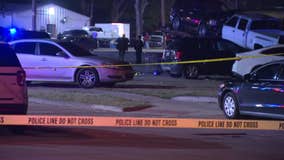 Dallas police shoot man who fired shots at them