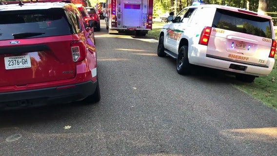 Infant, toddler killed by family dogs, sheriff says