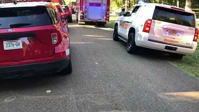 Infant, toddler killed by family dogs, sheriff says