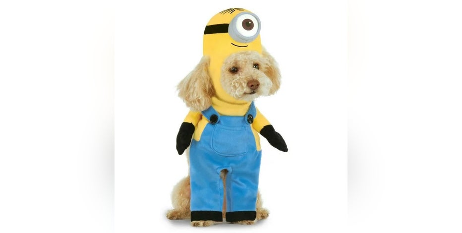 Best pet Halloween costumes of 2022: Is your pup ready for the paw-ty?