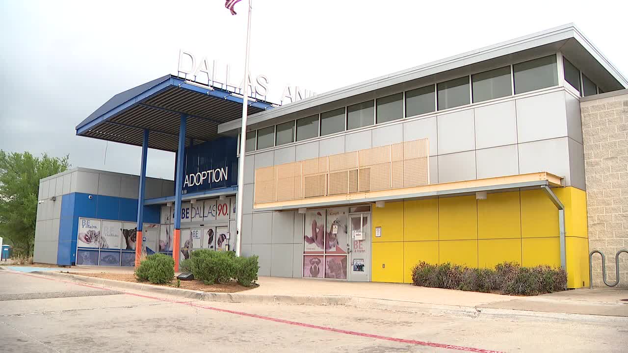 Dallas Animal Service workers receiving death threats over euthanizing animals Dallas Animal Service workers receiving death threats over euthanizing animals