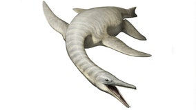 Paleontologists uncover strange new prehistoric sea monster