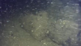 Stone fish trap, believed to be 11,000 years old, found near Alaskan coast