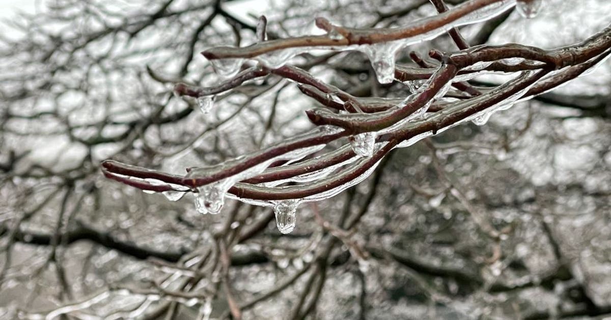 Dallas weather: Power outages possible as ice builds across North Texas ...