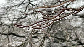 Dallas weather: Power outages possible as ice builds across North Texas