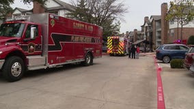 Dog rescued from Plano apartment fire