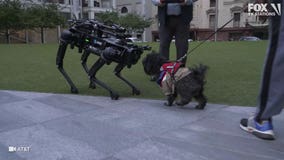 AT&T's new robotic dog visited Downtown Dallas and it looks like something straight out of Black Mirror