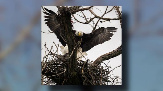 White Rock Lake wildlife photographer shares his joy of capturing animals in their natural habitat