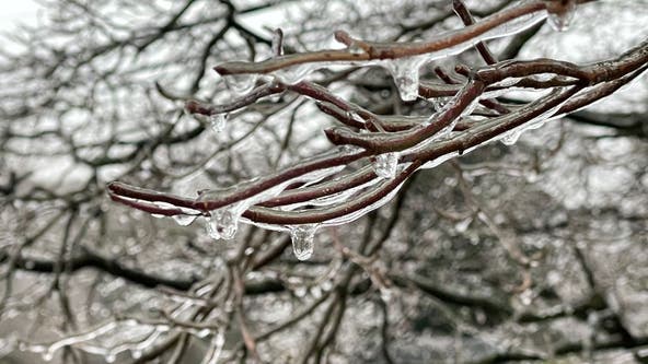 Dallas weather: Power outages possible as ice builds across North Texas