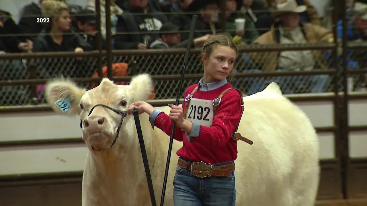 2024 Fort Worth Stock Show & Rodeo opens this weekend