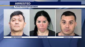 Plano police arrest alleged jewelry thieves who targeted Asian homes