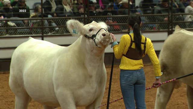 2023 Fort Worth Stock Show and Rodeo opens this weekend