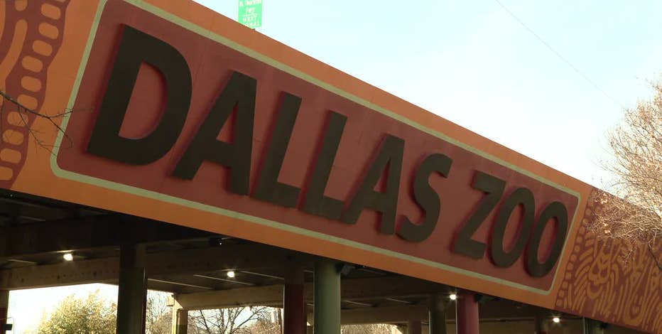 Dallas Zoo Dollar Days: Things to know