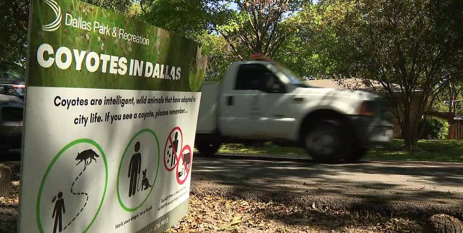 City of Dallas unveils new mapping tool to help track coyote sightings