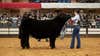 Steer named 'Snoop Dog' wins grand championship at Fort Worth Stock Show & Rodeo