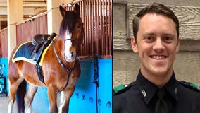 Police horse named Walker donated to DPD in honor of fallen officer