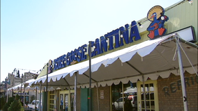Blue Goose Cantina on Greenville Avenue closing in March
