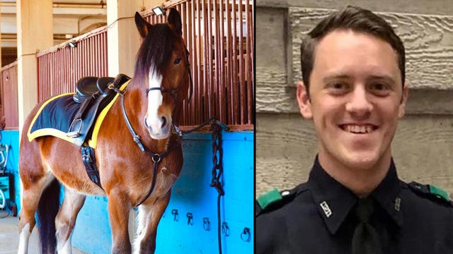 Police horse named Walker donated to DPD in honor of fallen officer