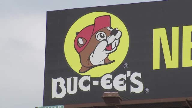 UT scientists name ancient beaver species after Buc-ee’s