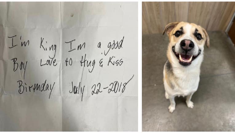 Dog abandoned at Burger King