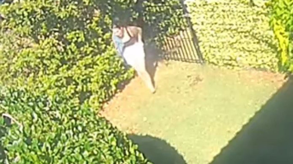 Woman-spotted-using-bathroom-in-hedges.jpg