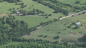 Bull kills 60-year-old Ellis County man, sheriff's office says