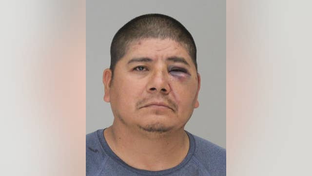 Man shot during fight in Dallas at property training roosters for cockfights