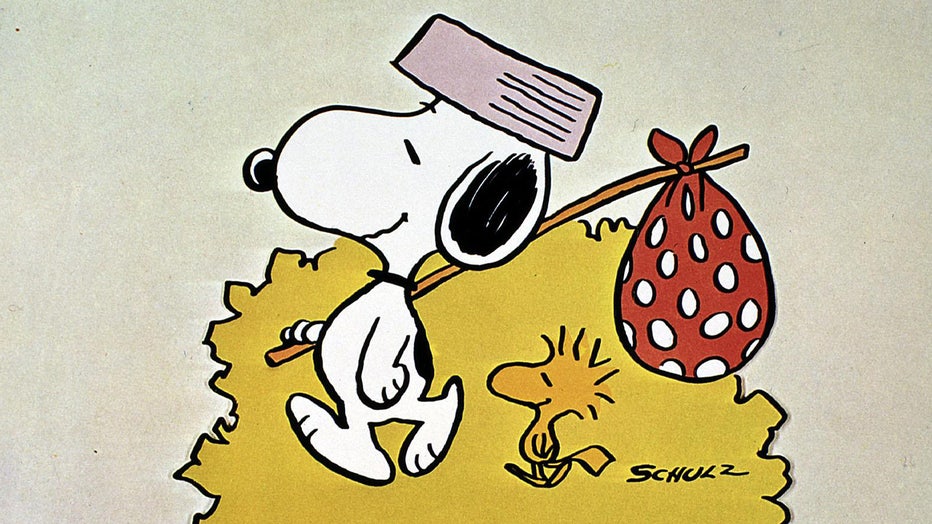 snoopy-1.jpg