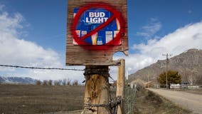 CEO distances Anheuser-Busch from Bud Light Dylan Mulvaney controversy: 'Not a formal campaign'