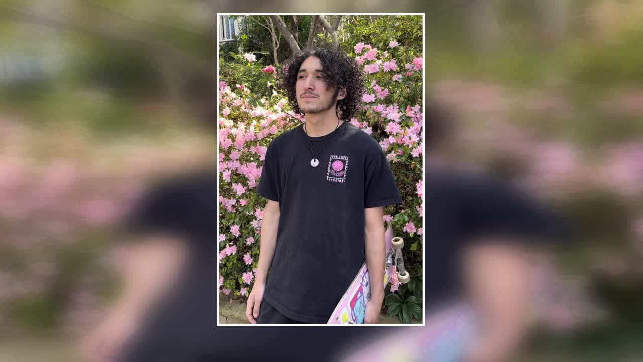 Driver sought in hit-and-run that killed Garland teen - Vimarsana News