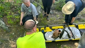 Firefighters rescue dog that jumped 34 feet from tower at Connecticut state park