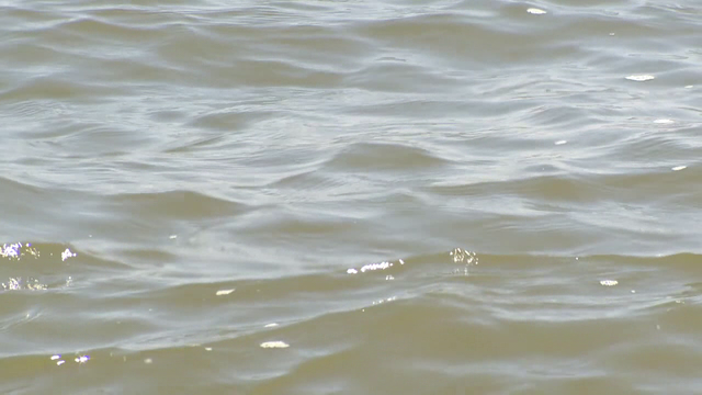 Body found in Lake Lewisville identified as missing Plano woman