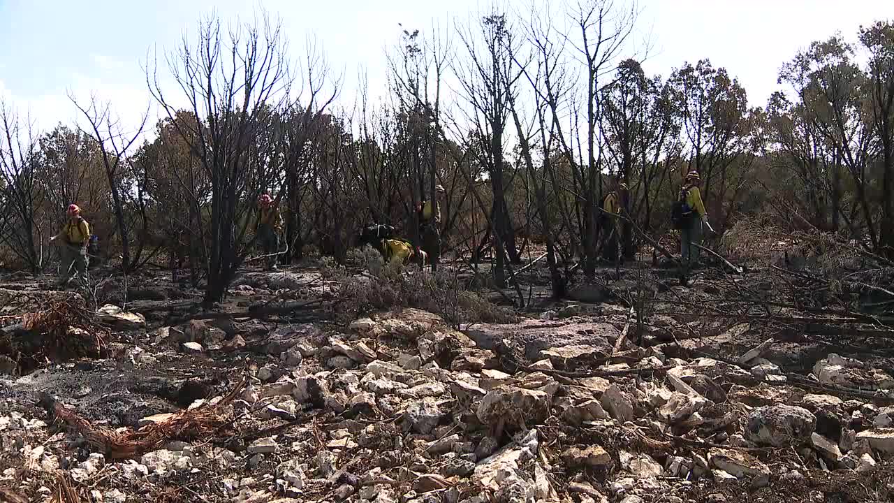 Firefighters Back Working Palo Pinto County Wildfire After It Rekindled 2418