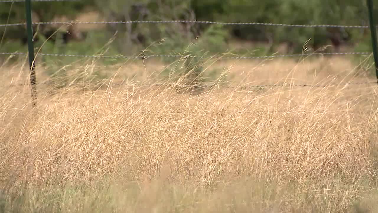 Burn ban in effect for unincorporated areas of Tarrant County