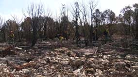 Firefighters back working Palo Pinto County wildfire after it rekindled