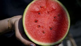 Plano crash spills watermelon across U.S. 75