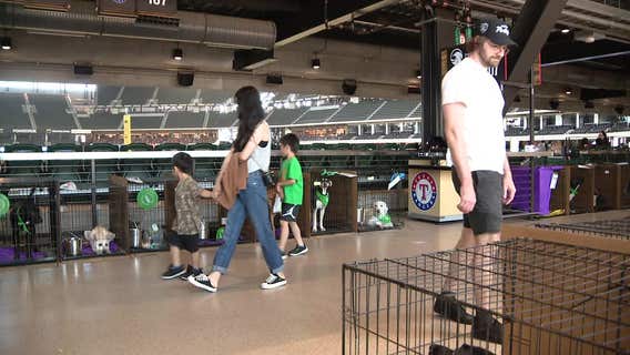 Mega adoption event held at Globe Life Field to help shelters with overcrowding