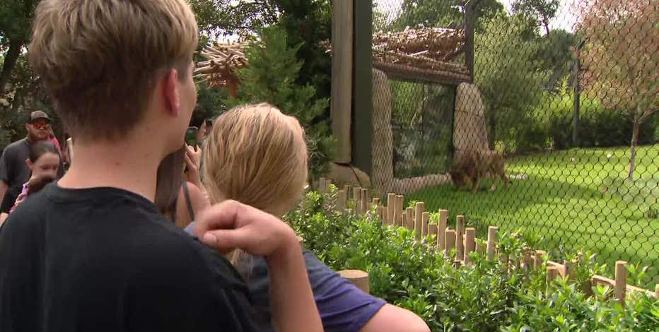 Fort Worth Zoo, Botanic Garden adjust hours because of the heat