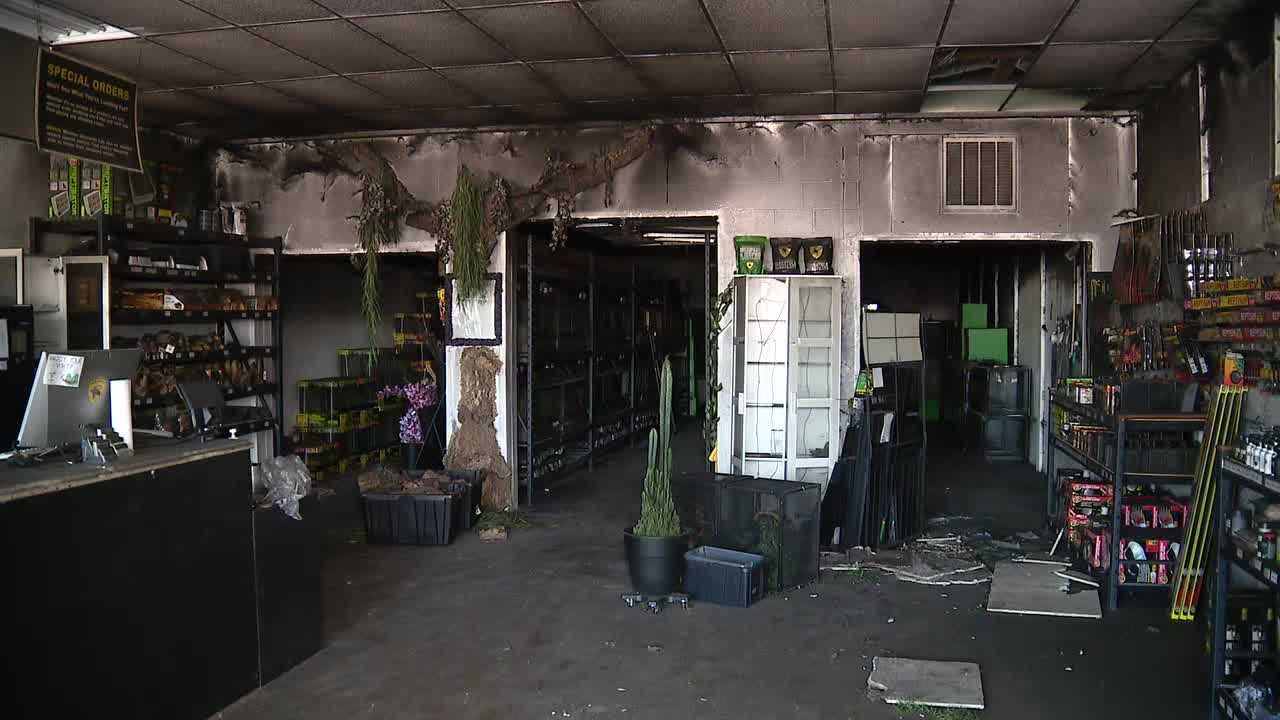 Dozens of animals killed in fire at Richardson reptile pet store FOX
