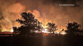 Firefighters in North Texas battling 6 wildfires