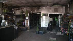 Dozens of animals killed in fire at Richardson reptile pet store