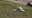 Pilot killed in plane crash at Caddo Mills Airport