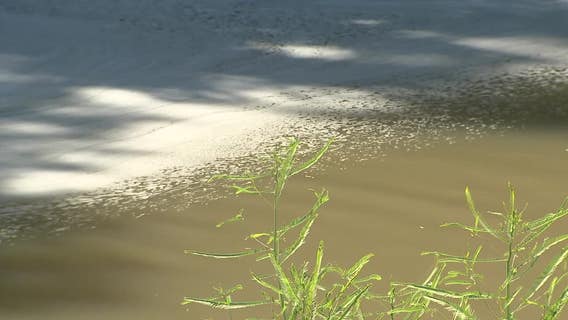 EPA warns of chemicals in creek following Garland Sherwin-Williams plant fire