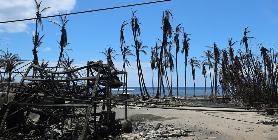 FOX, American Red Cross team up to support victims of Hawaii wildfires