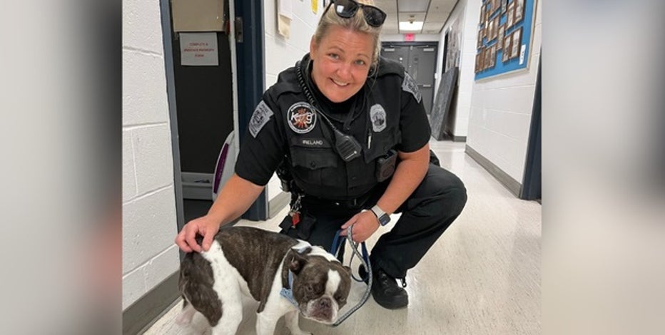 Dog abandoned at Pittsburgh airport after owner learns it needs crate to fly