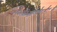 Scammers target families of Dallas County inmates, demanding payment for fake early release